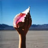 The Killers: Wonderful Wonderful